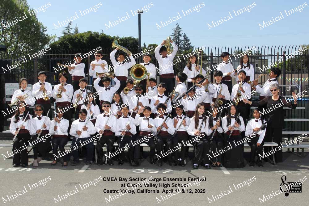 Musical Images